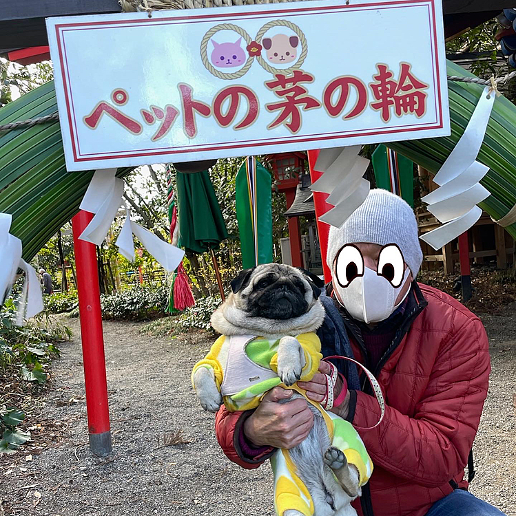ペット用の茅の輪までありました😵