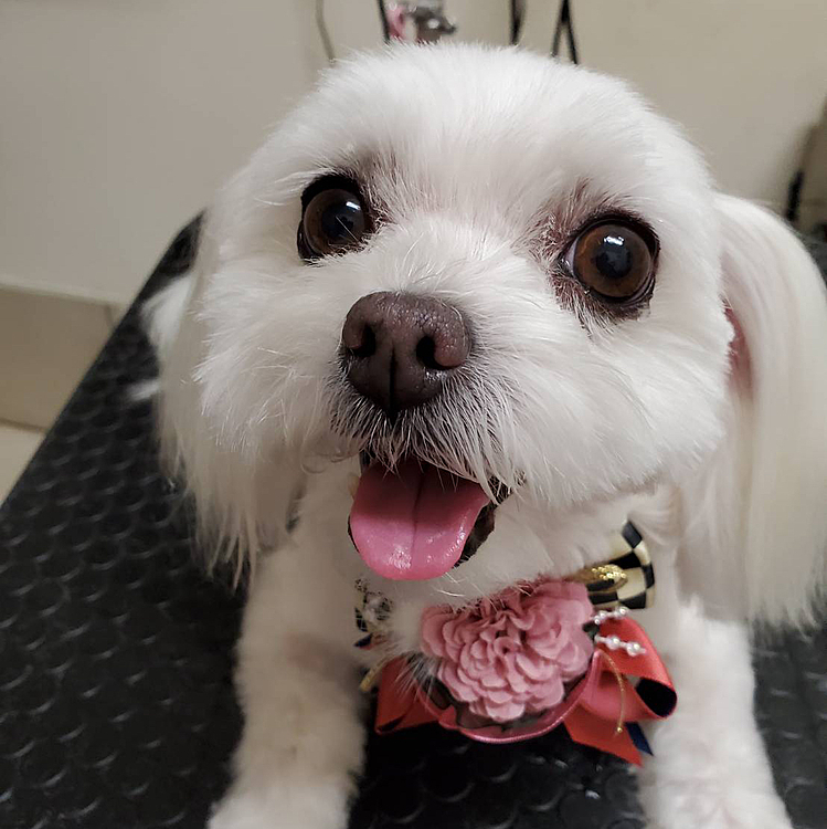 今日行って来ました♪