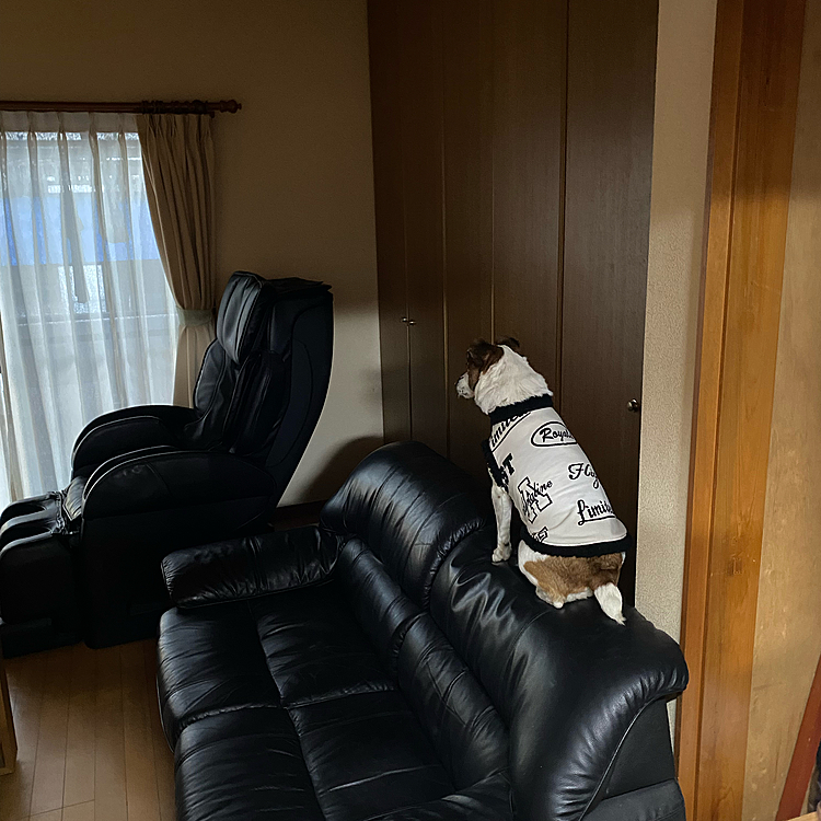 なんで、ここから❓