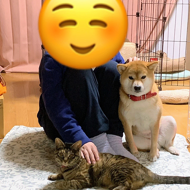 2022年もどうぞ雪と瓜をよろしくお願いします。
(o^^o)