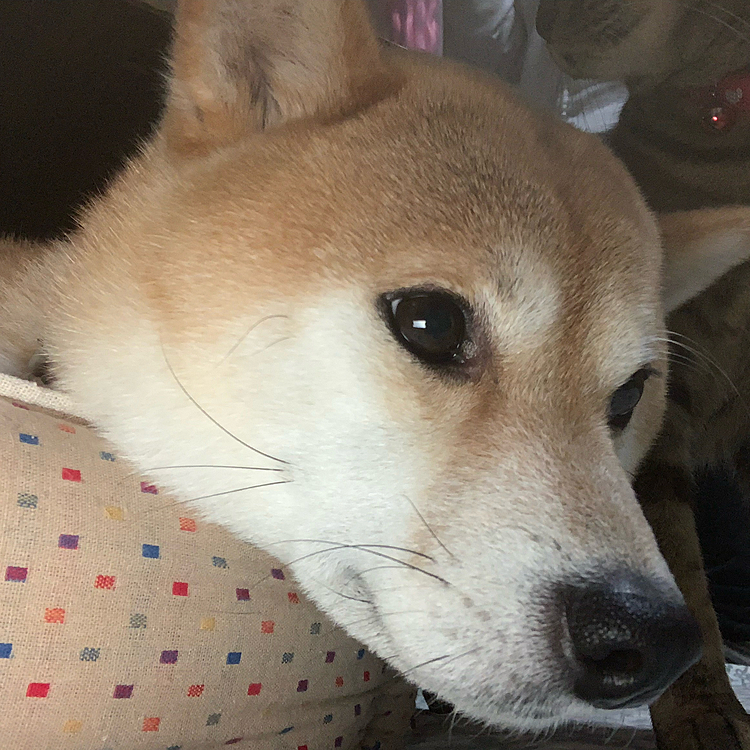 雪: あ〜いい感じだなあ (*´∇｀*)