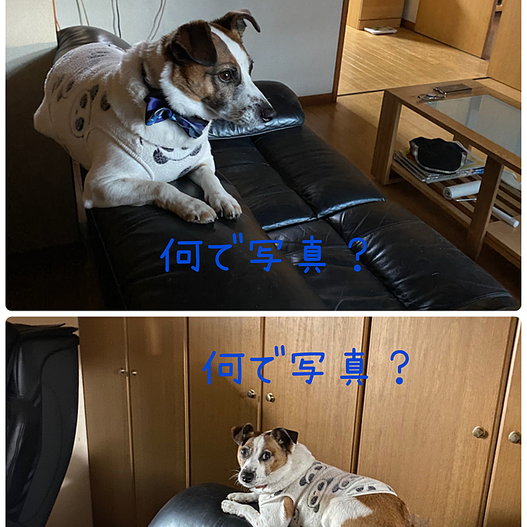 朝から笑える