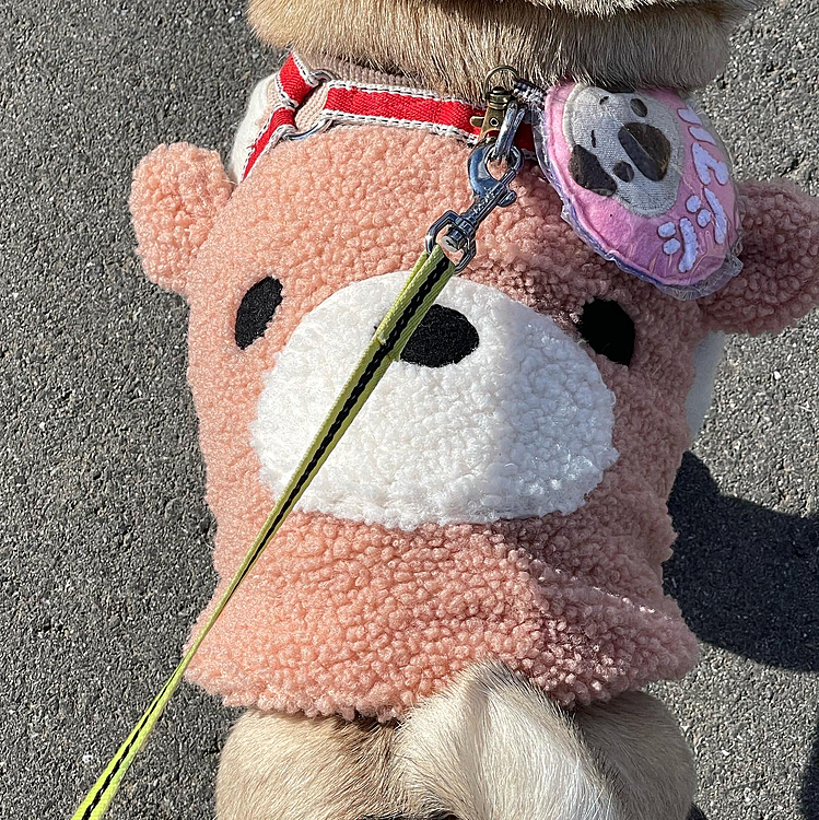 くまさん背負ってのお散歩です🧸