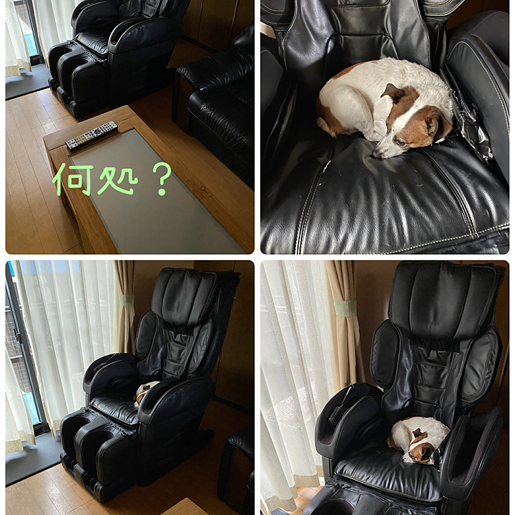 探したよ〜