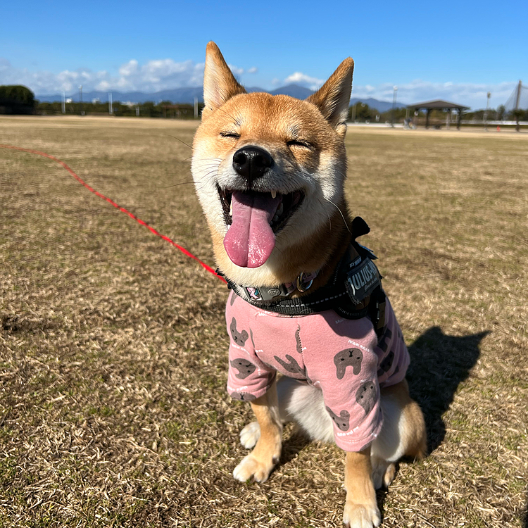 久しぶりに来たのでうれしそうでした٩( ᐛ )و