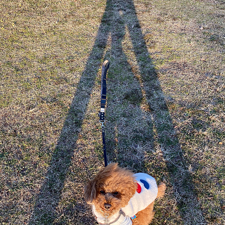 仕方ないからママの影で写真撮ってみました😆