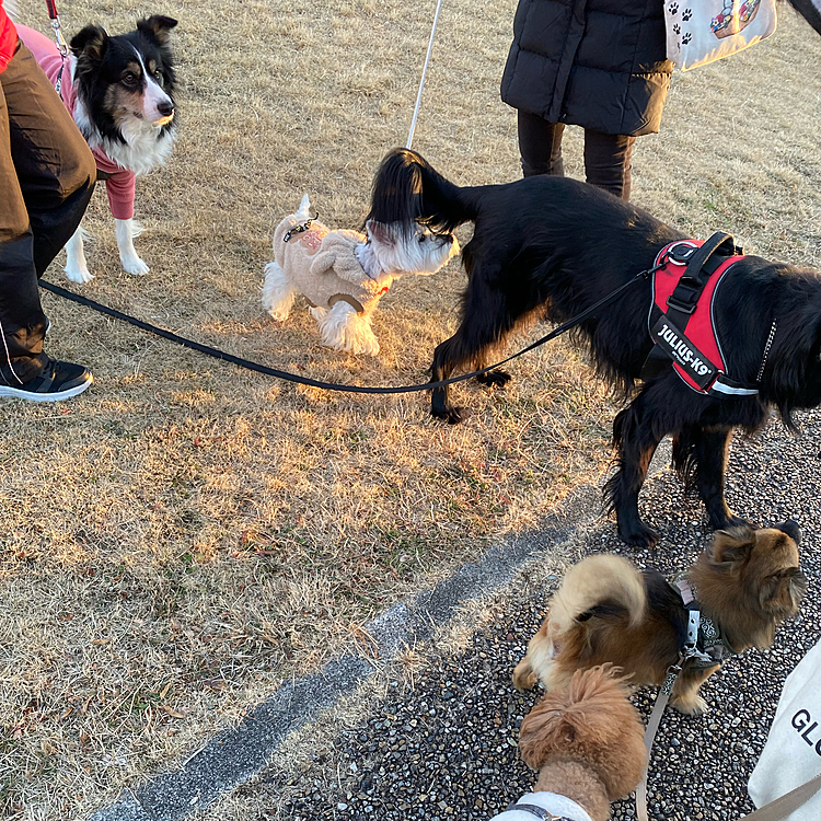 良かった良かった🐾