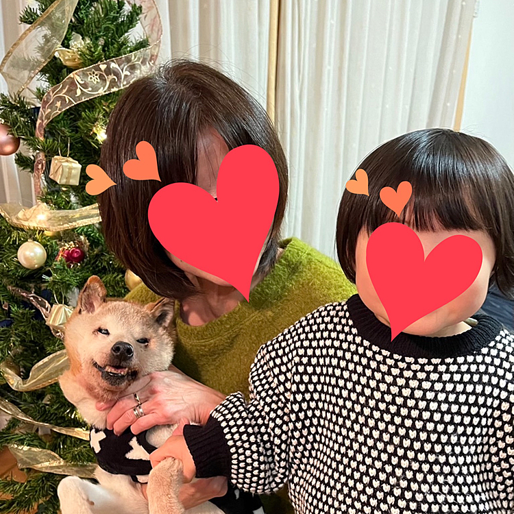 ママさんから元日にLINEで報告がありクリスマスにはお孫さんと共に笑顔で過ごした事、皆でお見送り出来た事、精一杯お世話したので悔いは無いとの事❣️

18年も一緒に過ごした大切な大切な家族なので寂しさはまだまだあるけれどとても清々しい様子にいつか自分もこんな風になりたいと思いました☺️
