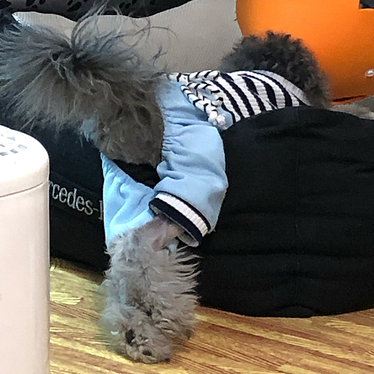 今日は僕モデル
バックショットからの　
モデル立ちだから大変だよー
