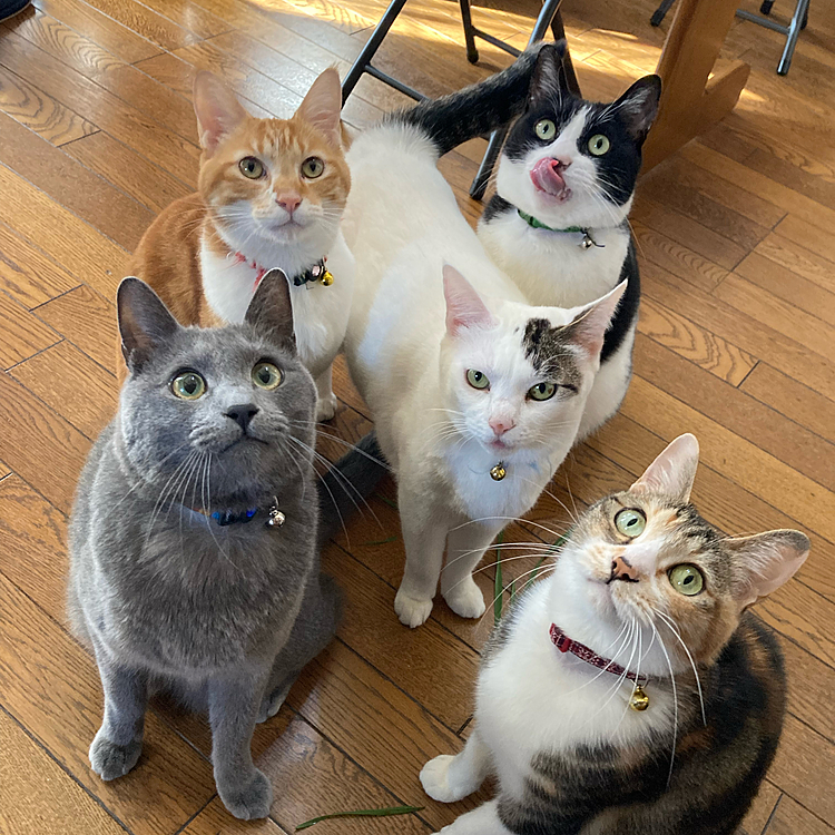 今日はみんな揃いました♬