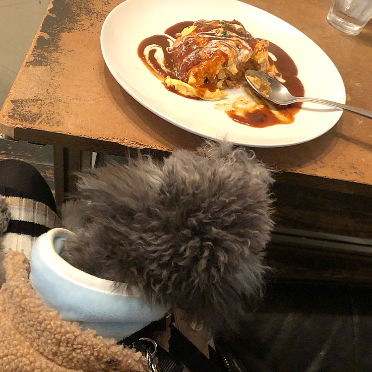 オムライスだあ
ぼくも食べたいワン