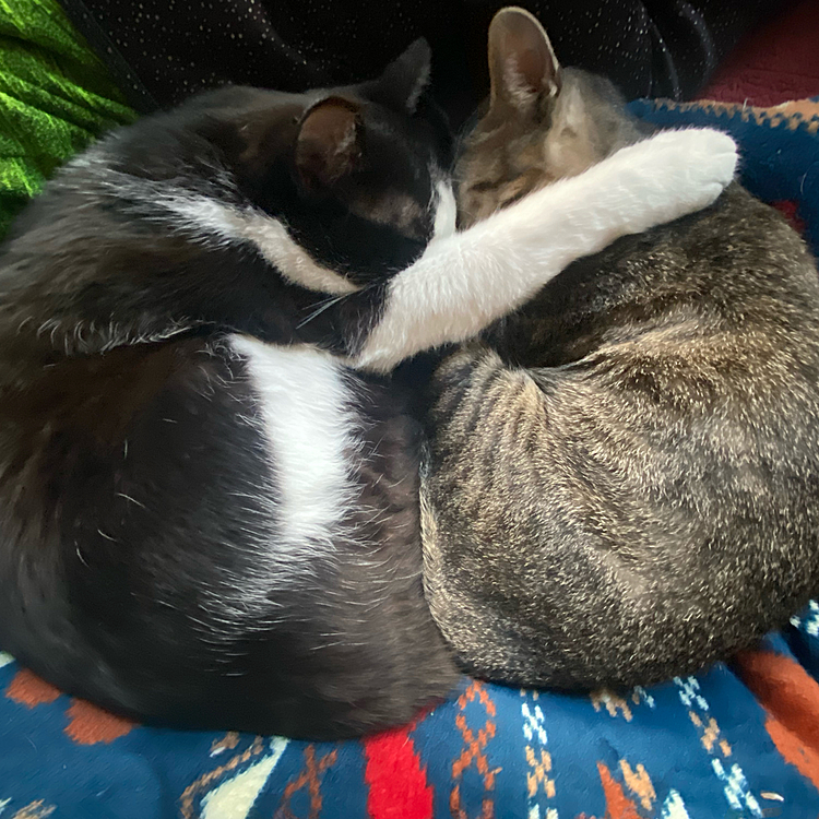 チビとムギのママ☺️の投稿
