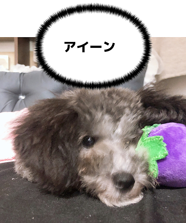 アイーン顔してみた