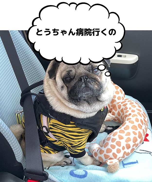 とうちゃんの通院に付き添いドライブ1時間🚗