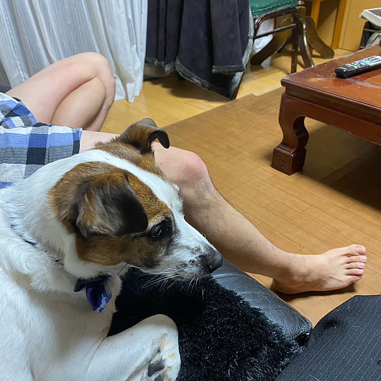 ロックオン