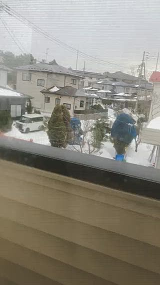 でも、時々除雪しが家の前の道路を除雪してくれるので助かります😃
ザフザフしてる雪だとハンドル取られて大変ですからね😃
ホントにありがたい😃
最近、雪の話題しかないまある地方です☃️🤣🤣
どうでもいいネタですいません😃