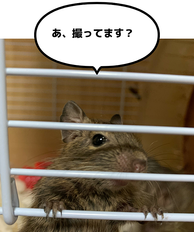 minの投稿