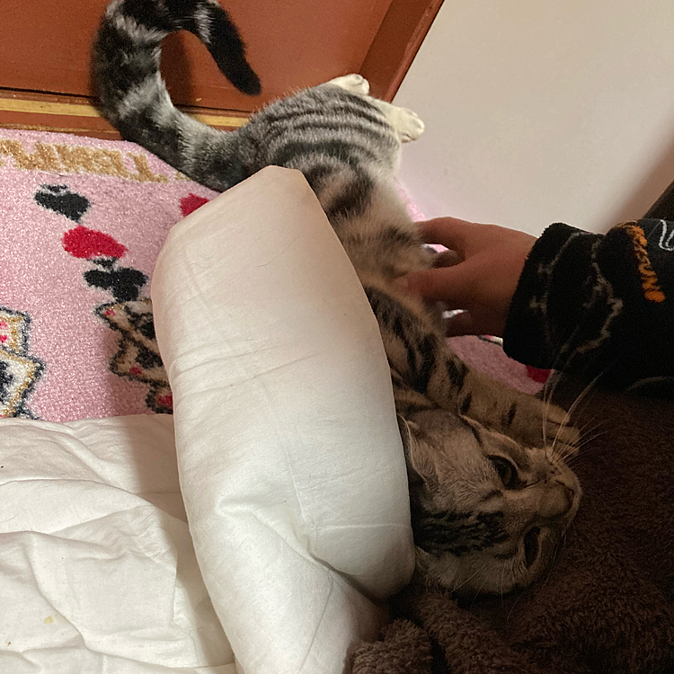 ジュリちゃんパパに甘え中