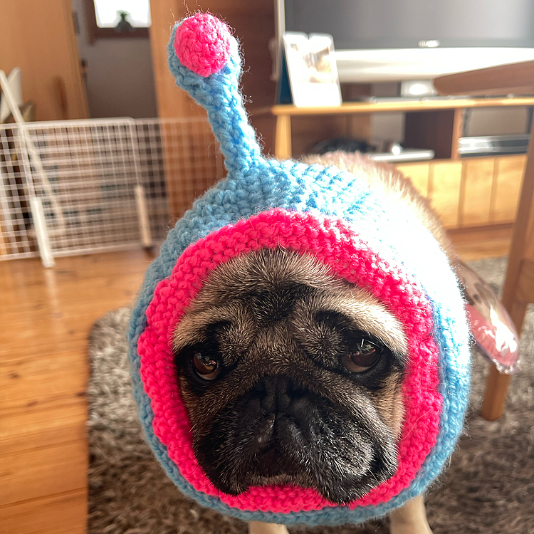 昨日ジョンソンタウンで買った宇宙人スヌード👽
なんか違う‥🤣🤣🤣