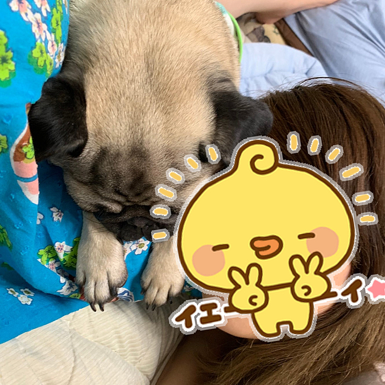 皆さまコロナ気をつけてねー！^ ^🐶❤️