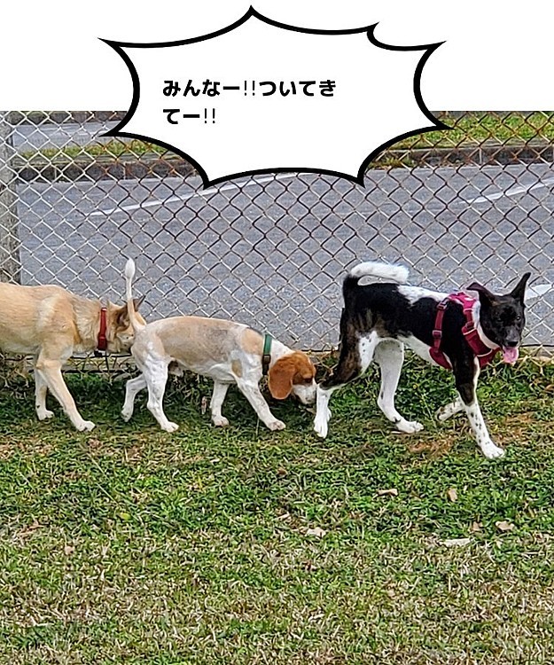 ビンゴの投稿