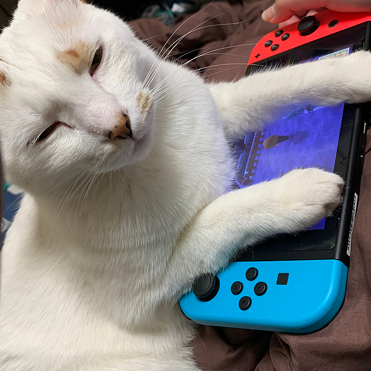 ゲーム中に邪魔が入りましたw
