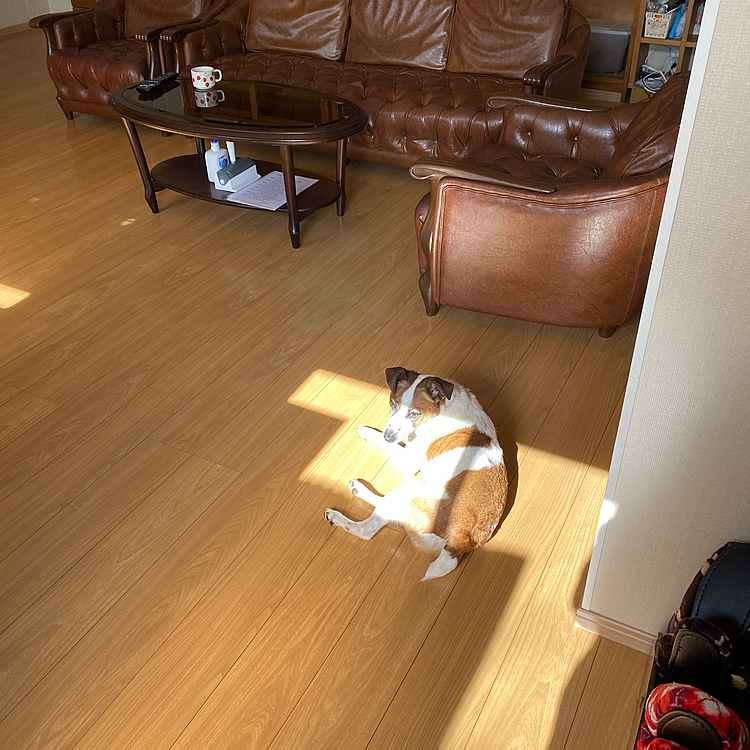 あったか〜い❣️