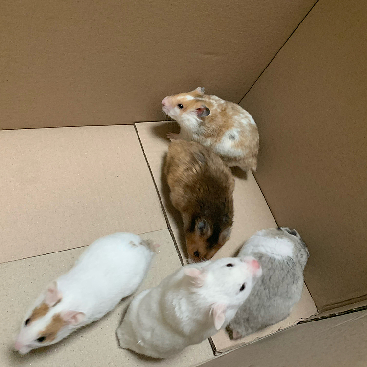 お掃除の為移動w
