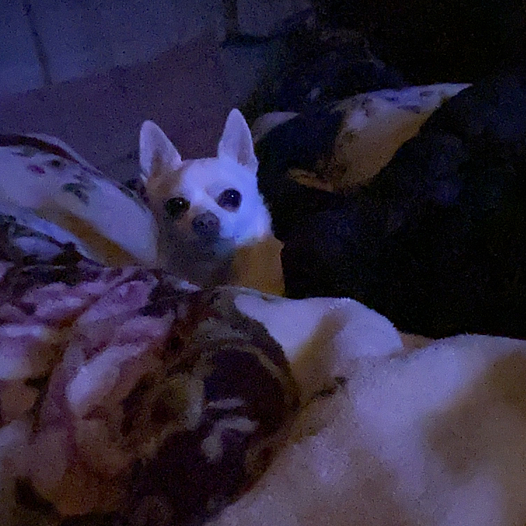 そわそわしているよ🥶