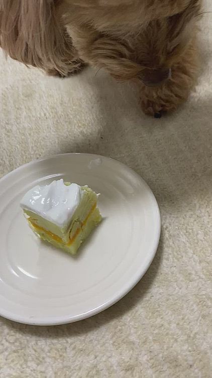おいしかったかな？☺️❤️