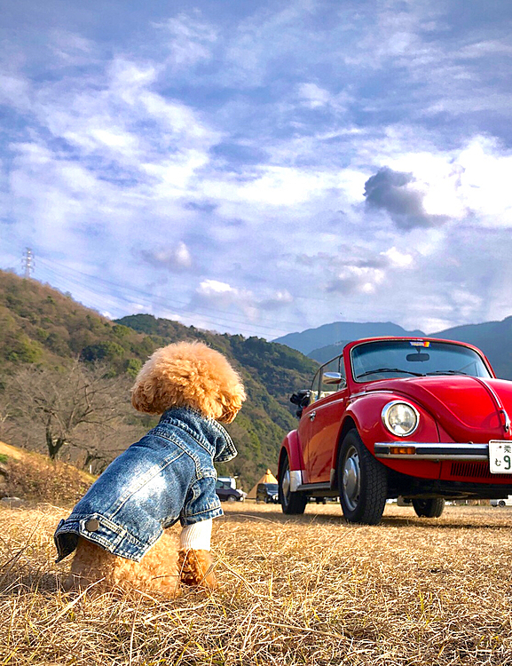 2022-1-30

🐾　土日で3回河川敷

ホント、休日は河原しか行く所ねーわ😅

土日で3回、合計10時間以上　🔥🔥🔥

キャンパーさんもいっぱいいました⛺️⛺️⛺️⛺️⛺️⛺️⛺️