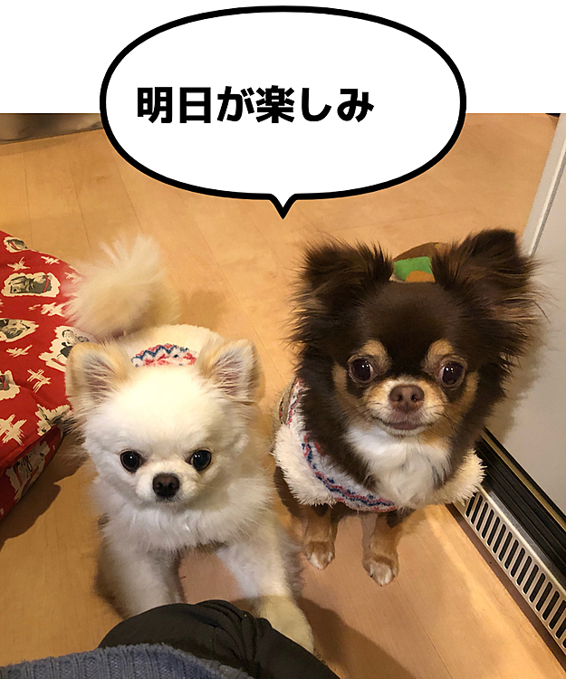 maronlukaの投稿