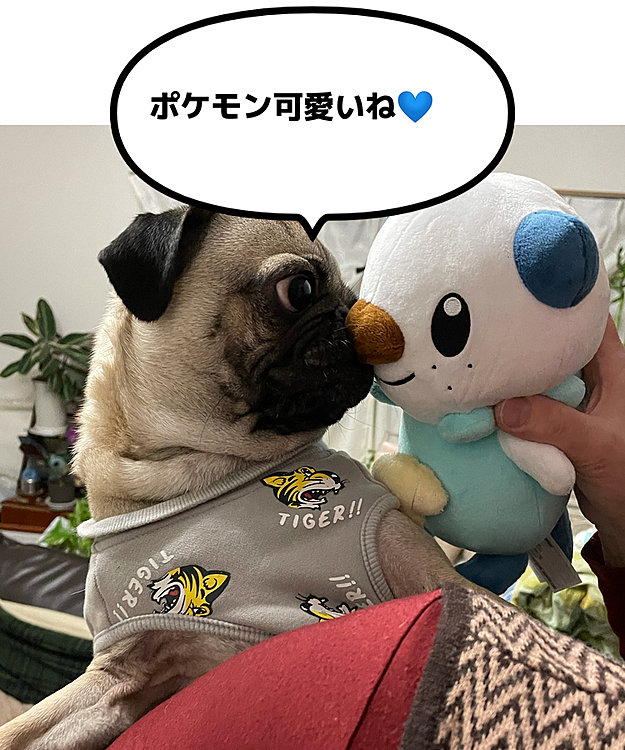 新しいポケモン可愛い😍❤️♡🐶