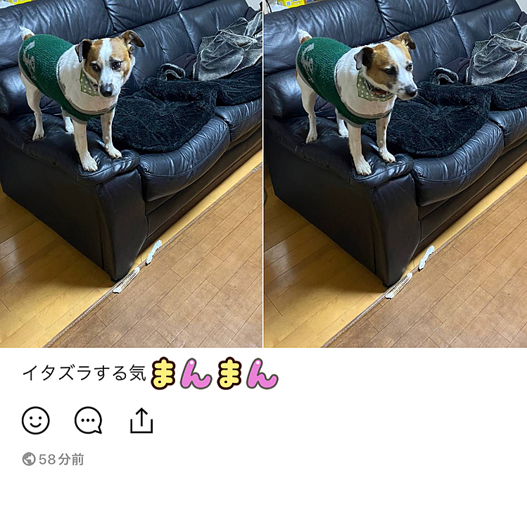 イタズラする気満々❣️