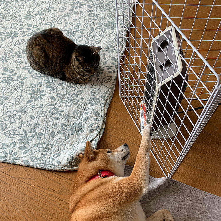 寒いね〜
いっしょに暖まろ