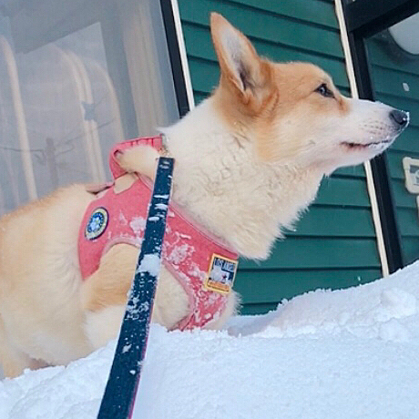 イェーイ😃
お山の大将❣️だぞー😃
いい気分〜😃
って、あなた?自分の力で上がってないよね?笑笑
ま、いっか!