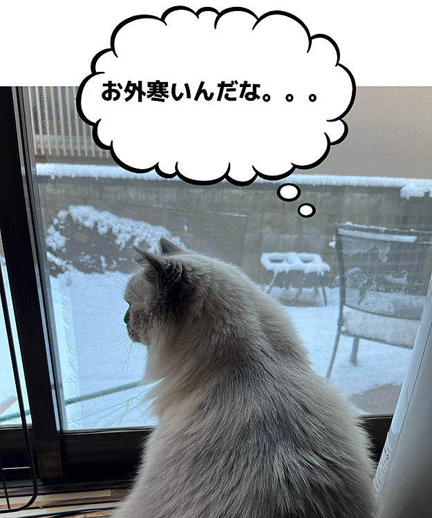 ノリゴロウの投稿