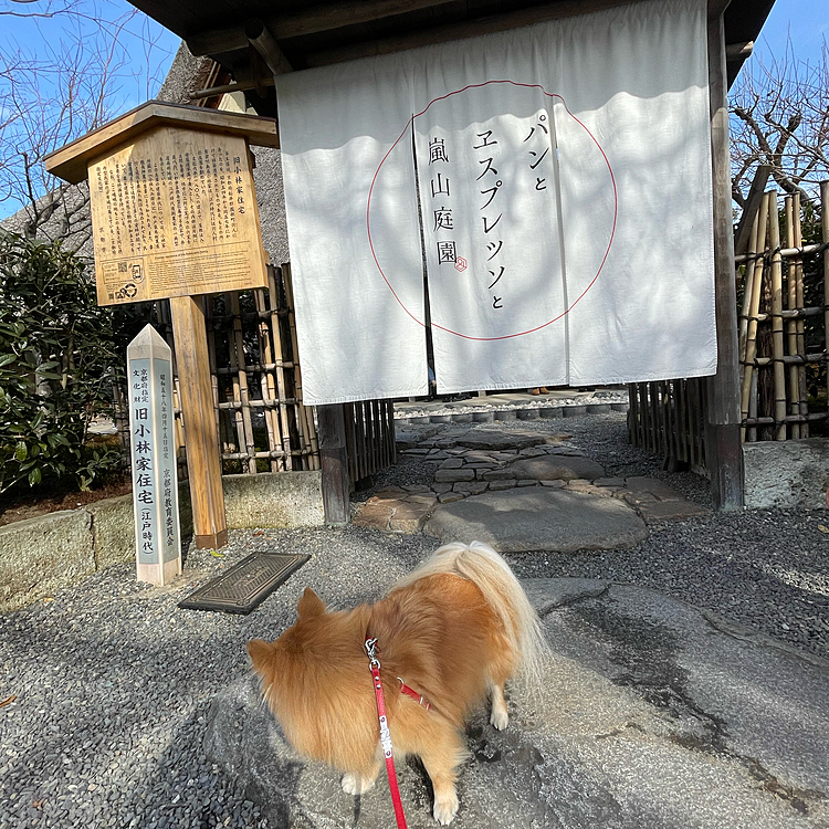 他にも撮影ポイントで撮って頂きました。
その後、そろそろカメラマンさんとお別れの時間がやってきました。撮影後に「パンとエスプレッソと嵐山庭園」で朝食を取りました😊