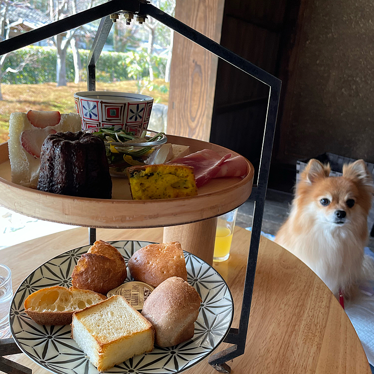 私が注文したコースです✨
パンが焼きたてでとても美味しかったです🤤
カヌレやフルーツサンド、抹茶のティラミスがありましたよ😊
次行ったら、パニーニにしよっと🤤