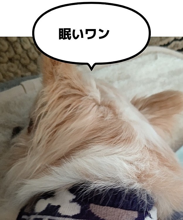 オーナー3370の投稿