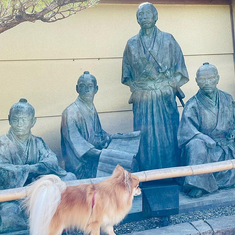 坂本龍馬達、土佐四天王とコラボ✨
この4人の銅像があまりにインパクトが強くて、建物が何かを確認しなかったです😂