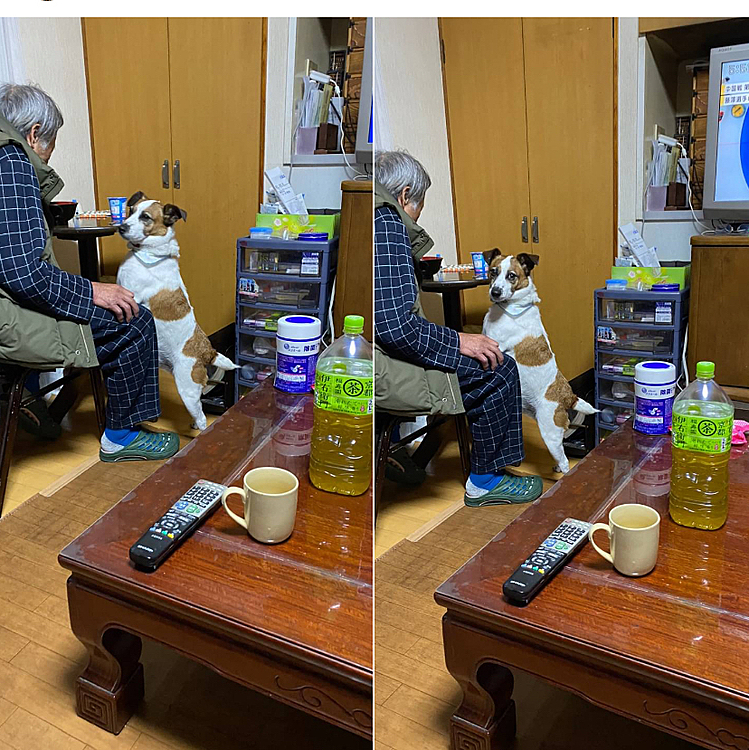 頂戴してませんから‼️