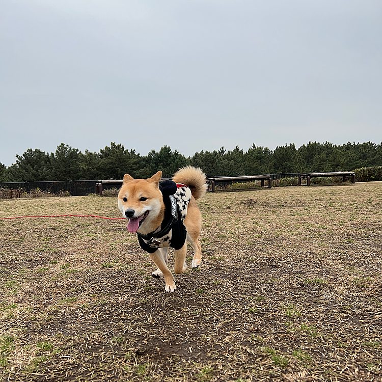 昨日から明け方までの雨でまだ地面も濡れていて、めちゃくちゃ寒かった😵‍💫