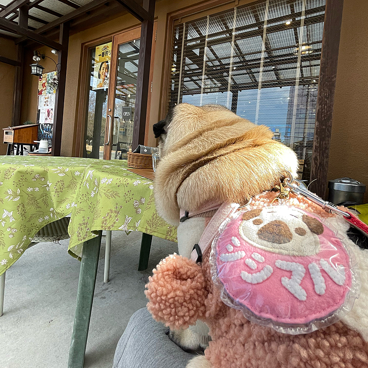 とうちゃんの膝でお料理待ってます
