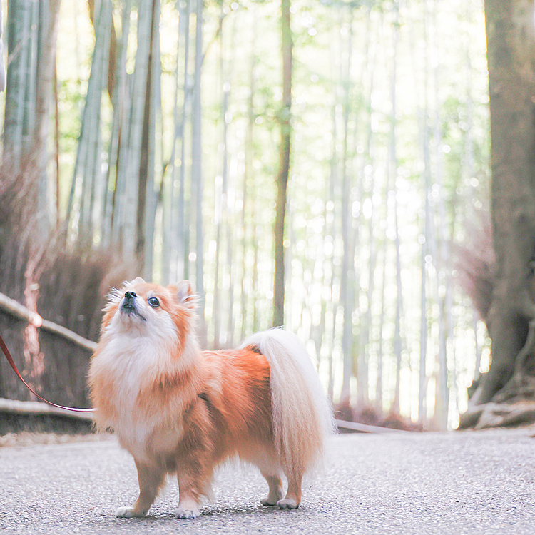 どれもお気に入りの写真です❤️

本当に楽しく過ごせて最高に幸せな時間でした✨🥰
