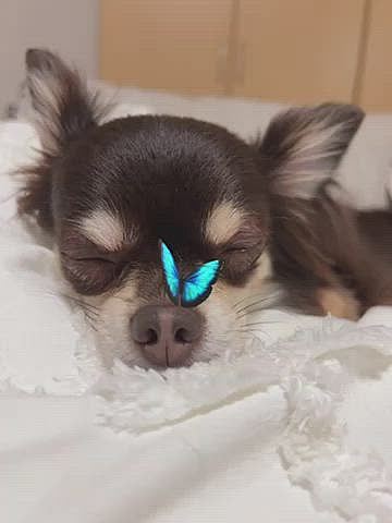 遊んでごめんね。