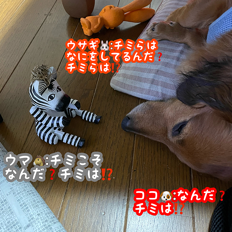 何をテーブルの下で言い争ってるんだ❓
チミらは⁉️(志村けん風)🤣🤣🤣