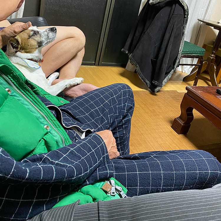 ソファーに、一家勢揃い‼️
