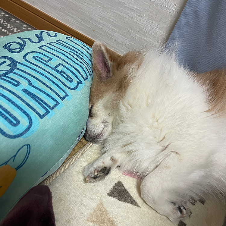 よーてるやまとさん
おでこ😅押しつけて

