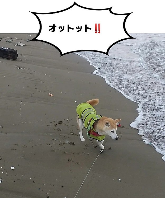 冬の日本海😃